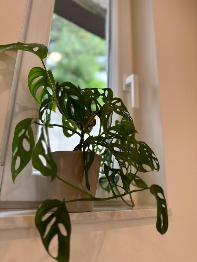 Olive View Apartment Брела Екстериор снимка