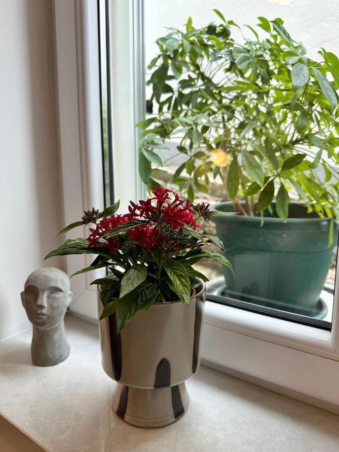 Olive View Apartment Брела Екстериор снимка